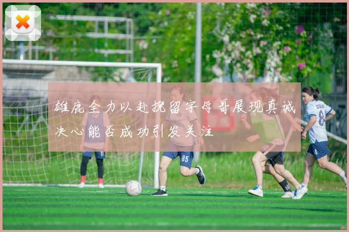 雄鹿全力以赴挽留字母哥展现真诚决心能否成功引发关注