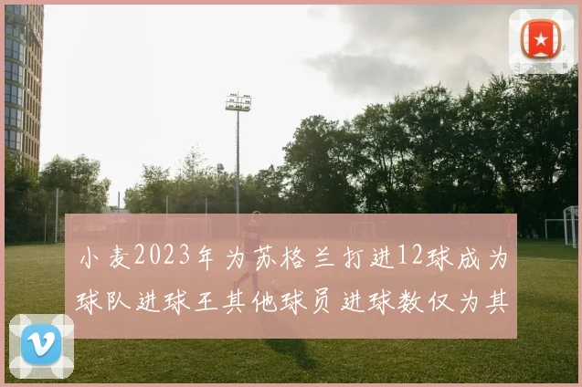 小麦2023年为苏格兰打进12球成为球队进球王其他球员进球数仅为其一半
