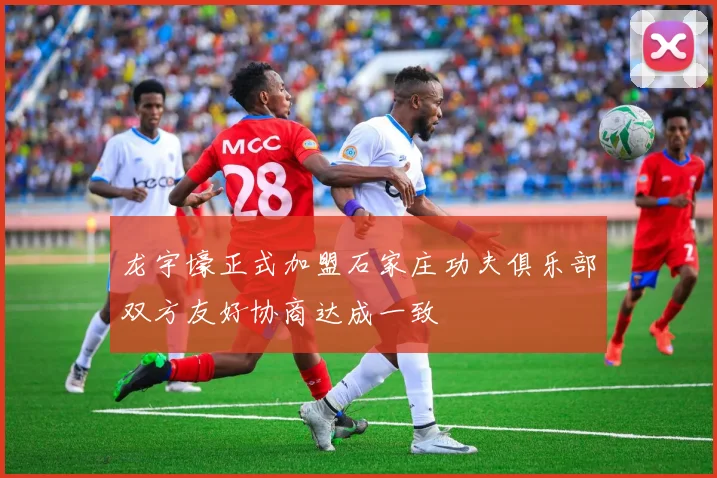 龙宇壕正式加盟石家庄功夫俱乐部双方友好协商达成一致